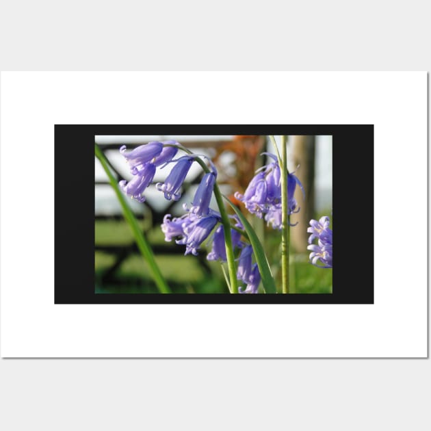 English Bluebells Wall Art by AH64D